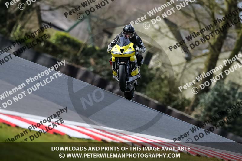 Oulton Park 21st March 2020;PJ Motorsport Photography 2020;anglesey;brands hatch;cadwell park;croft;donington park;enduro digital images;event digital images;eventdigitalimages;mallory;no limits;oulton park;peter wileman photography;racing digital images;silverstone;snetterton;trackday digital images;trackday photos;vmcc banbury run;welsh 2 day enduro